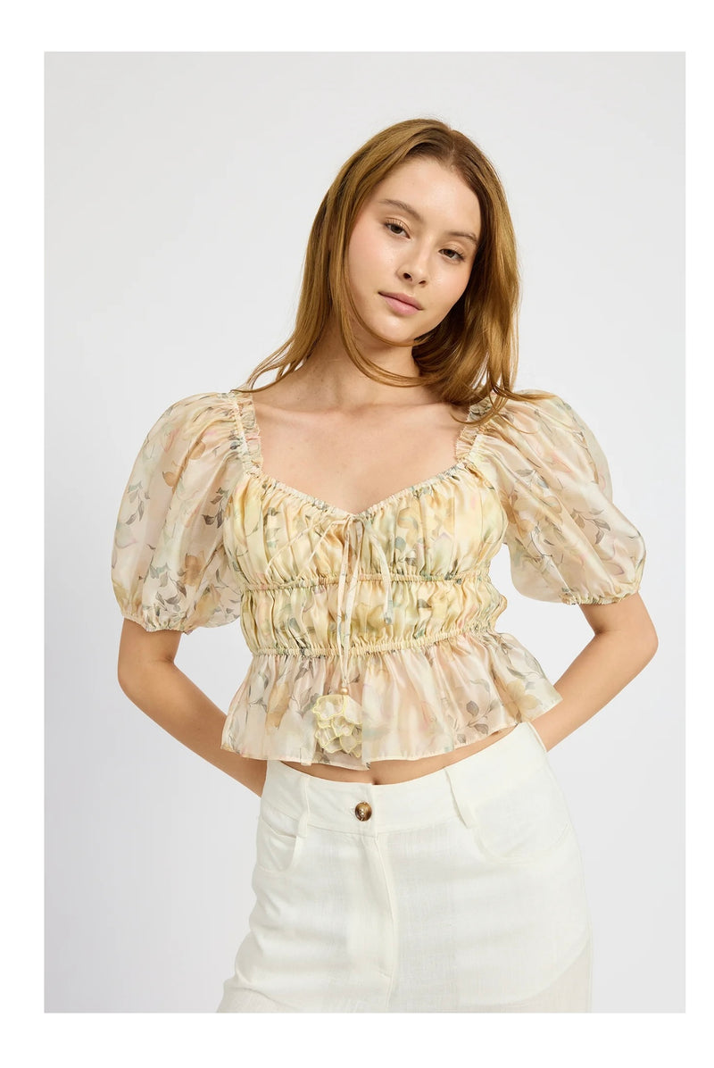 Elliot Organza Top