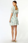 Kerry Eyelet Printed Lace Dress